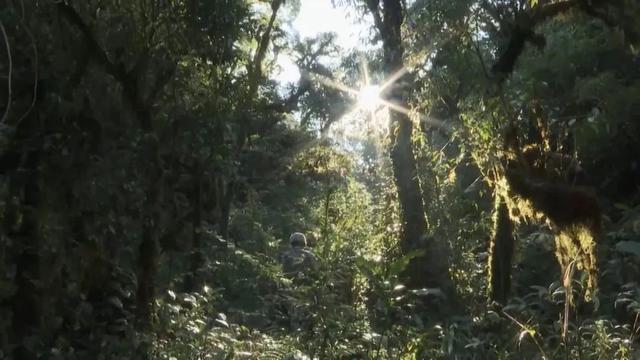 部隊穿越哀牢山現(xiàn)場實拍，一線部隊行進畫面曝光