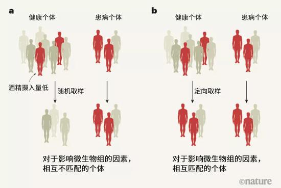 探索人體奧秘的新領(lǐng)域，最新窩窩人體研究揭秘人體奧秘