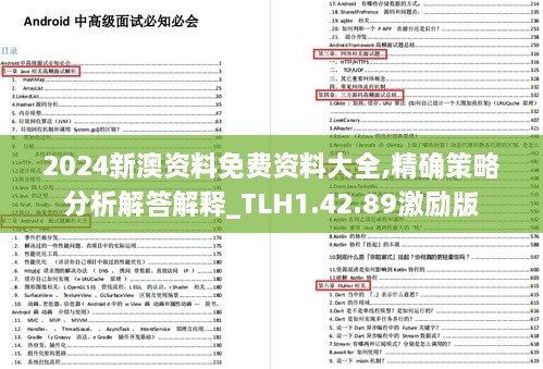 2024新澳資料免費資料大全,精確策略分析解答解釋_TLH1.42.89激勵版