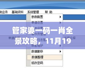 管家婆一碼一肖全景攻略，11月19日實(shí)地計(jì)劃設(shè)計(jì)驗(yàn)證_JSA8.44.26理想版