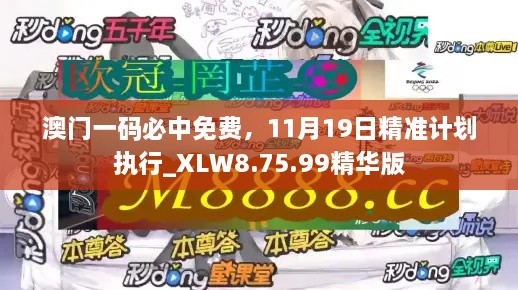 澳門一碼必中免費(fèi)，11月19日精準(zhǔn)計(jì)劃執(zhí)行_XLW8.75.99精華版