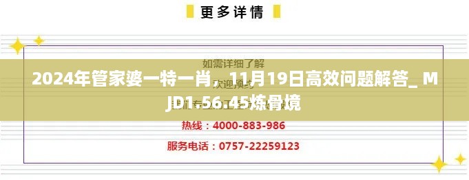 2024年管家婆一特一肖，11月19日高效問題解答_ MJD1.56.45煉骨境