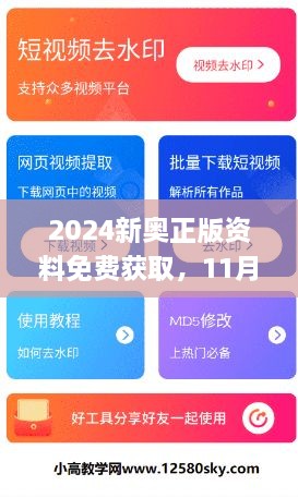 2024新奧正版資料免費獲取，11月19日全面評估解答及步驟解析_WUF1.60.91計算能力版