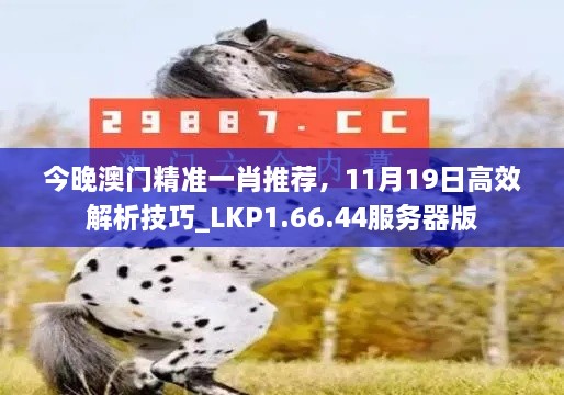 今晚澳門精準(zhǔn)一肖推薦，11月19日高效解析技巧_LKP1.66.44服務(wù)器版