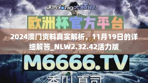 2024澳門(mén)資料真實(shí)解析，11月19日的詳細(xì)解答_NLW2.32.42活力版