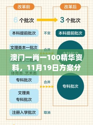 澳門一肖一100精華資料，11月19日方案分析與解讀_PDE3.33.55精選版