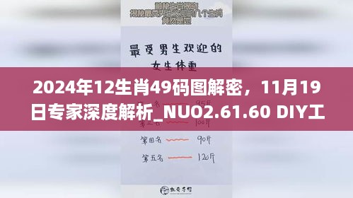 2024年12生肖49碼圖解密，11月19日專家深度解析_NUO2.61.60 DIY工具版