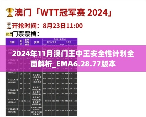 2024年11月澳門(mén)王中王安全性計(jì)劃全面解析_EMA6.28.77版本