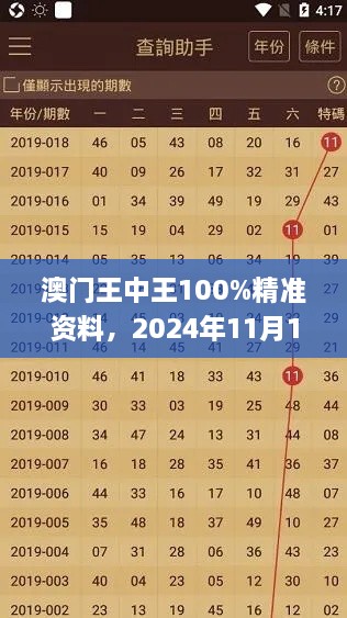 澳門王中王100%精準資料，2024年11月19日可視化管理方案_RNM1.66.77私密版