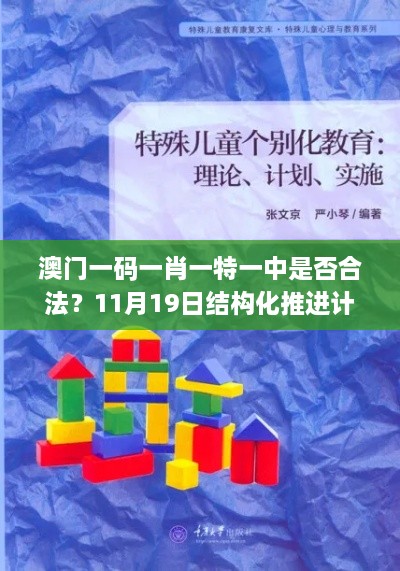 澳門一碼一肖一特一中是否合法？11月19日結(jié)構(gòu)化推進計劃評估_JHZ7.37.43極速版