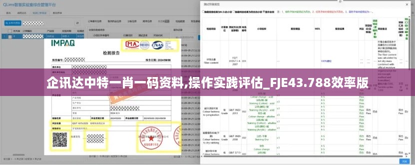 企訊達(dá)中特一肖一碼資料,操作實踐評估_FJE43.788效率版