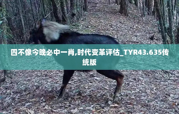 四不像今晚必中一肖,時代變革評估_TYR43.635傳統(tǒng)版