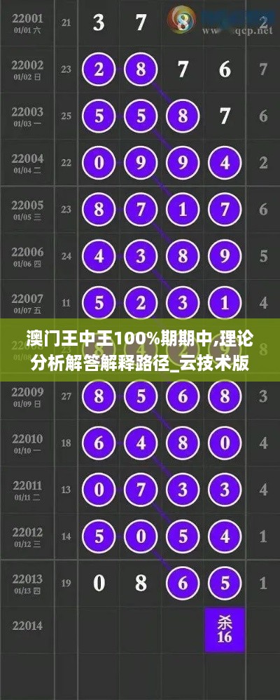 澳門王中王100%期期中,理論分析解答解釋路徑_云技術版YIY7.40