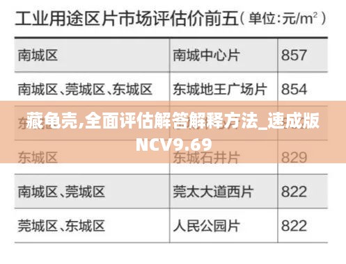 藏龜殼,全面評估解答解釋方法_速成版NCV9.69