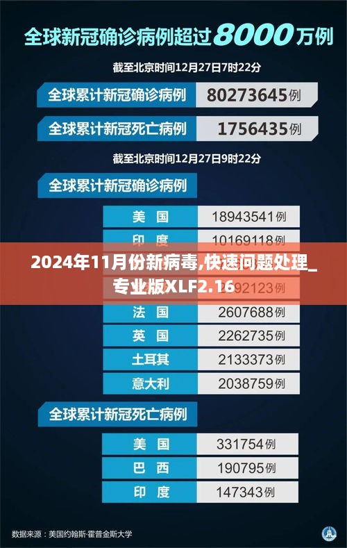 2024年11月份新病毒,快速問(wèn)題處理_專業(yè)版XLF2.16