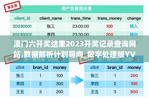 澳門六開獎結果2023開獎記錄查詢網站,數據解析計劃導向_數字處理版YVS3.41