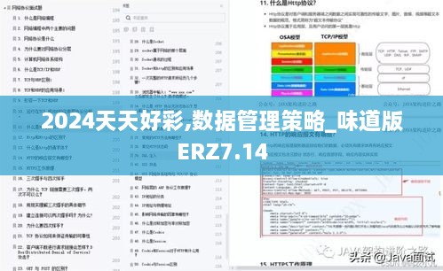 2024天天好彩,數據管理策略_味道版ERZ7.14