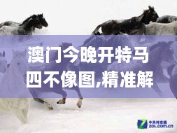 澳門今晚開特馬四不像圖,精準解答解釋方案_自由版WBP8.74