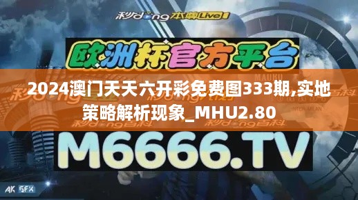 2024澳門(mén)天天六開(kāi)彩免費(fèi)圖333期,實(shí)地策略解析現(xiàn)象_MHU2.80