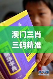 澳門三肖三碼精準100%新華字典332期,社會承擔實踐戰(zhàn)略_經(jīng)典版BRL11.19