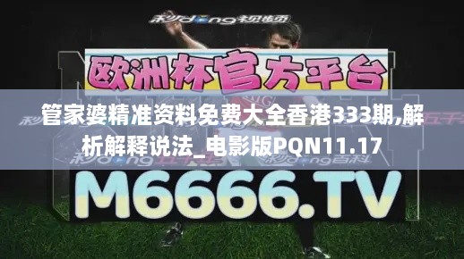 管家婆精準(zhǔn)資料免費(fèi)大全香港333期,解析解釋說(shuō)法_電影版PQN11.17