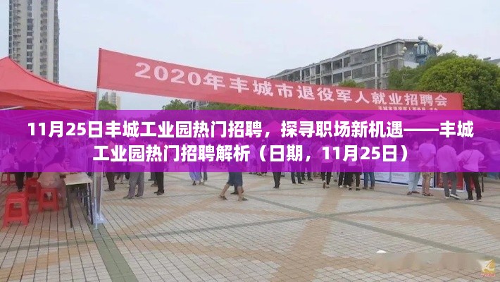 探尋職場新機遇，豐城工業(yè)園熱門招聘解析（日期，11月25日）