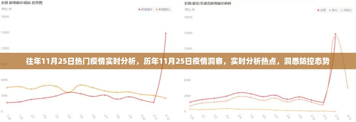 歷年與即時洞察，11月25日疫情深度分析與防控態(tài)勢實時觀察