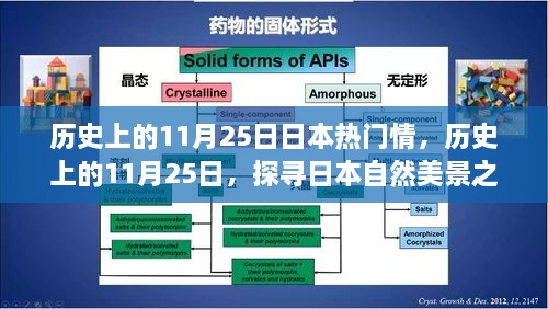 探尋日本自然美景之旅，歷史上的11月25日與日本情感之旅的寧靜與平和