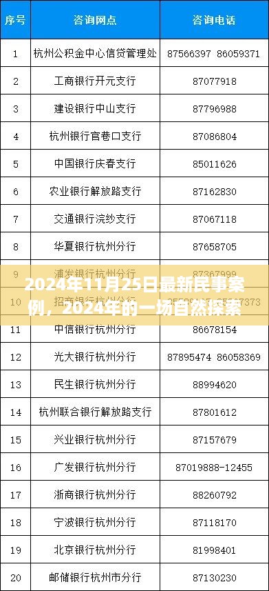 民事案例背后的心靈之旅，自然探索之旅的啟示（2024年最新案例）