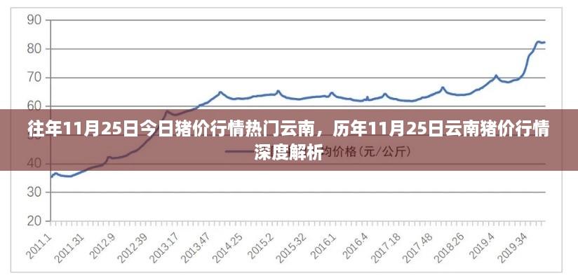 歷年11月25日云南豬價(jià)行情解析與深度探討