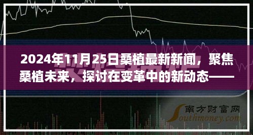 變革中的新動(dòng)態(tài)，聚焦桑植未來——2024年11月25日桑植最新新聞視角