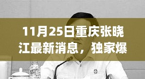 重慶張曉江最新動態(tài)揭秘，11月25日獨家爆料，瞬間驚艷！