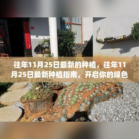 往年11月25日最新的種植，往年11月25日最新種植指南，開(kāi)啟你的綠色生活之旅