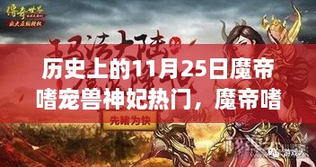 魔帝嗜寵獸神妃，深度測評與介紹——歷史上的11月25日熱門話題