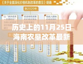 海南農(nóng)墾改革新篇章，歷史上的11月25日，變革中的自信與成就感