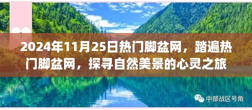 探尋自然美景的心靈之旅，熱門腳盆網(wǎng)之旅（2024年11月25日）