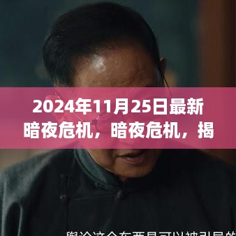 揭秘，2024年11月25日暗夜危機(jī)的背后故事與影響揭秘