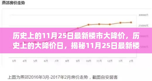 歷史上的11月25日最新樓市大降價(jià)，歷史上的大降價(jià)日，揭秘11月25日最新樓市降價(jià)真相