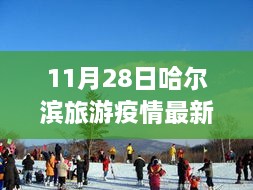 疫情下安全游哈爾濱，最新旅游指南與實用建議（初學者與進階用戶適用）