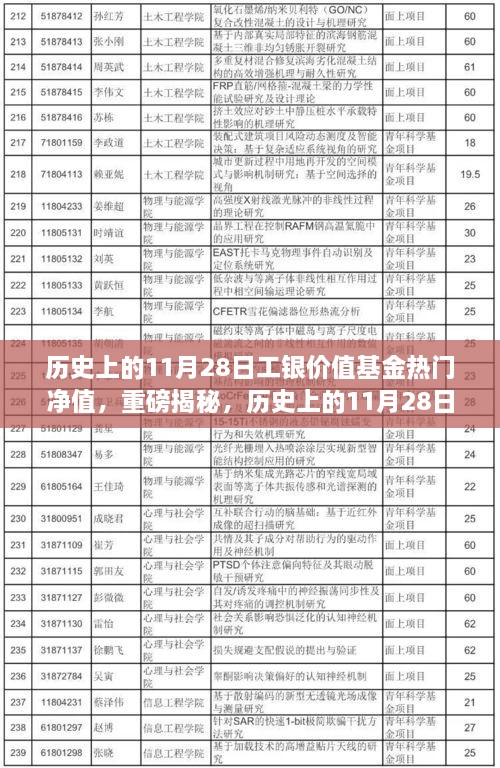 揭秘，歷史上的工銀價值基金凈值飆升背后的故事——聚焦11月28日熱門凈值日解密