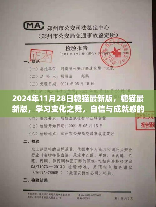 2024年11月28日糖貓最新版，糖貓最新版，學(xué)習(xí)變化之舞，自信與成就感的魔法之旅