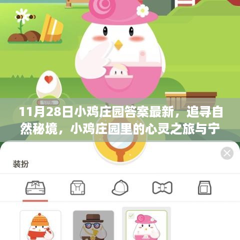 11月28日小雞莊園答案最新，追尋自然秘境，小雞莊園里的心靈之旅與寧靜的擁抱