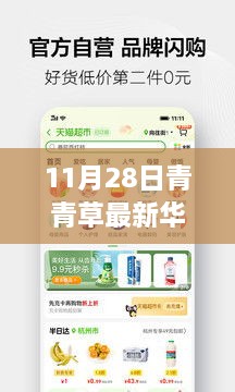 涉黃警告，11月28日青青草最新華人免費資源獲取指南及全攻略