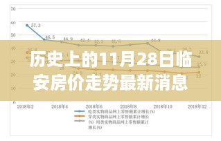 歷史上的11月28日臨安房價走勢深度解析，背景、事件與地位及其最新消息