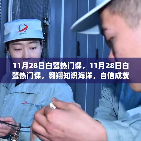 11月28日白鷺熱門課程，翱翔知識(shí)海洋，塑造自信未來(lái)夢(mèng)想