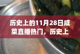 歷史上的11月28日咸菜直播熱門，歷史上的11月28日，見證咸菜直播熱門高科技產(chǎn)品的誕生與革新