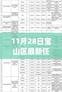 11月28日寶山區(qū)干部任免更新，流程詳解與操作指南