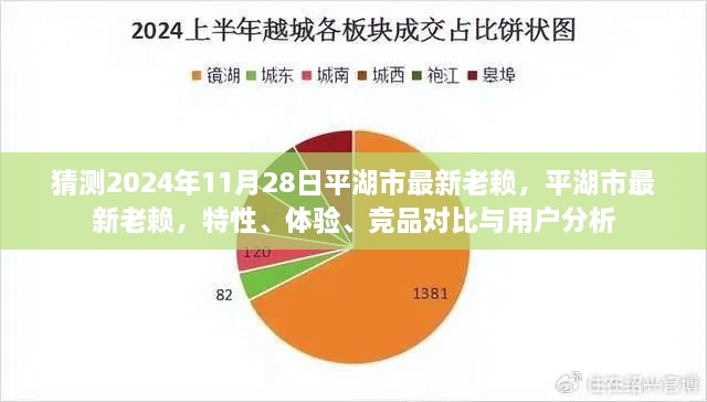 平湖市最新失信人員解析，特性、體驗(yàn)、競(jìng)品對(duì)比與用戶洞察（預(yù)測(cè)至2024年11月）