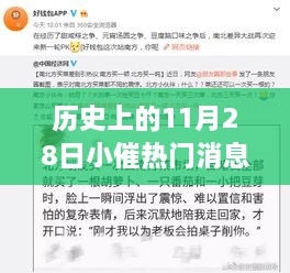 歷史上的11月28日，小催熱門消息回顧