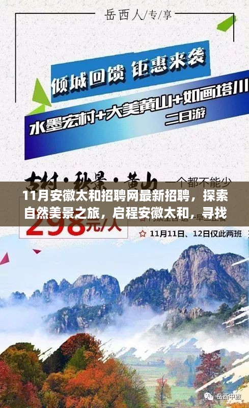 安徽太和最新招聘啟幕，探索自然美景之旅，啟程尋找內(nèi)心寧?kù)o與和諧